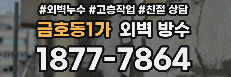 금호동1가 외벽 방수