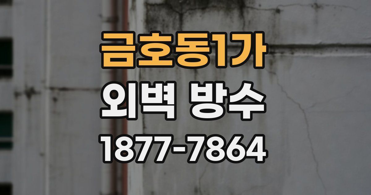 금호동1가 외벽 방수