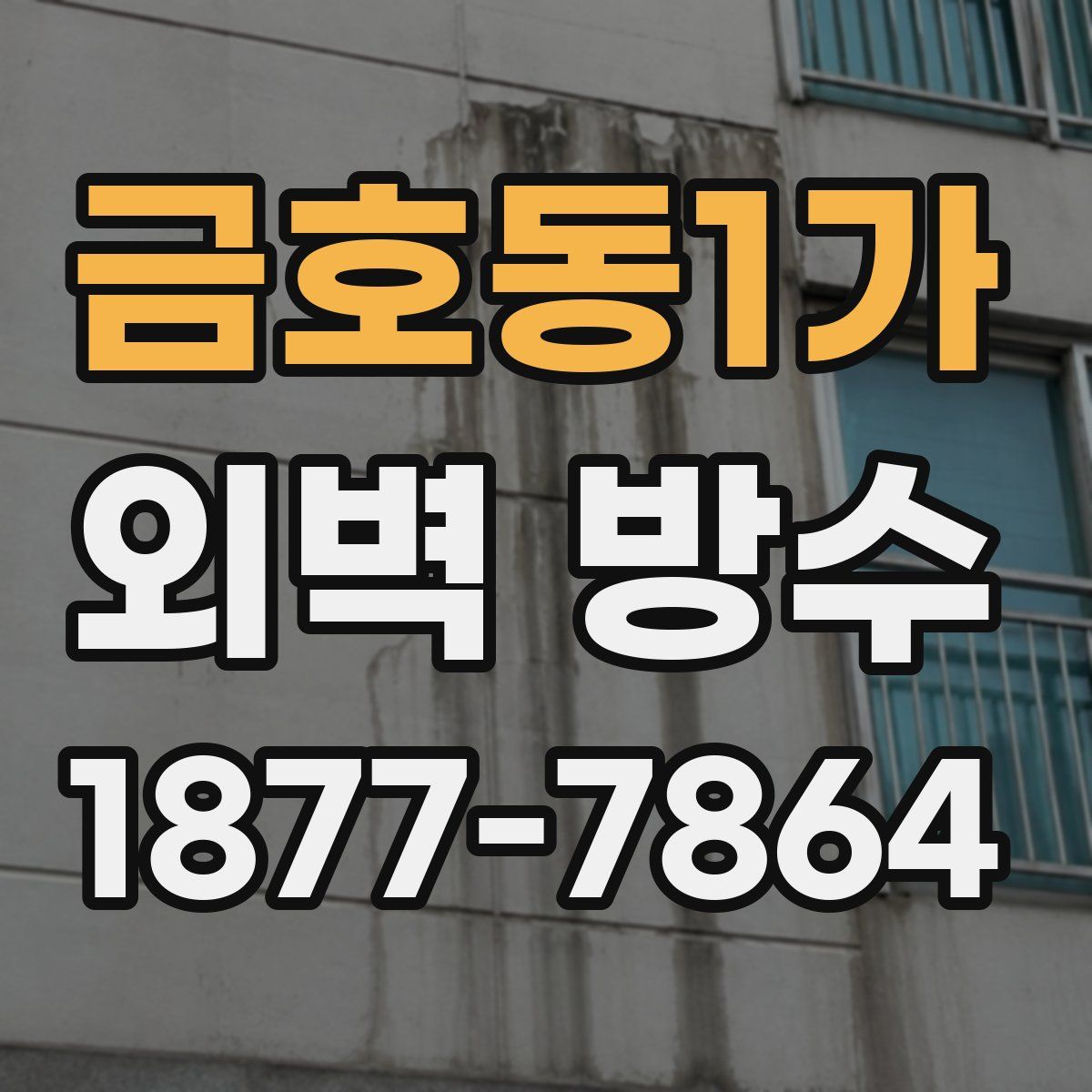 금호동1가 외벽 방수