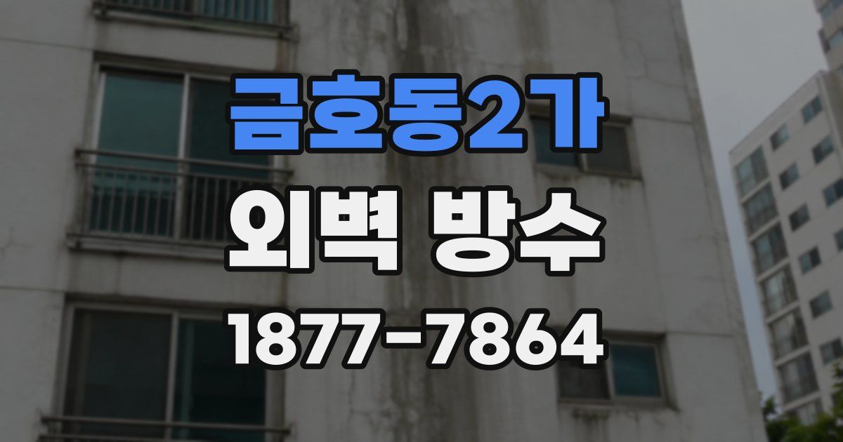 금호동2가 외벽 방수