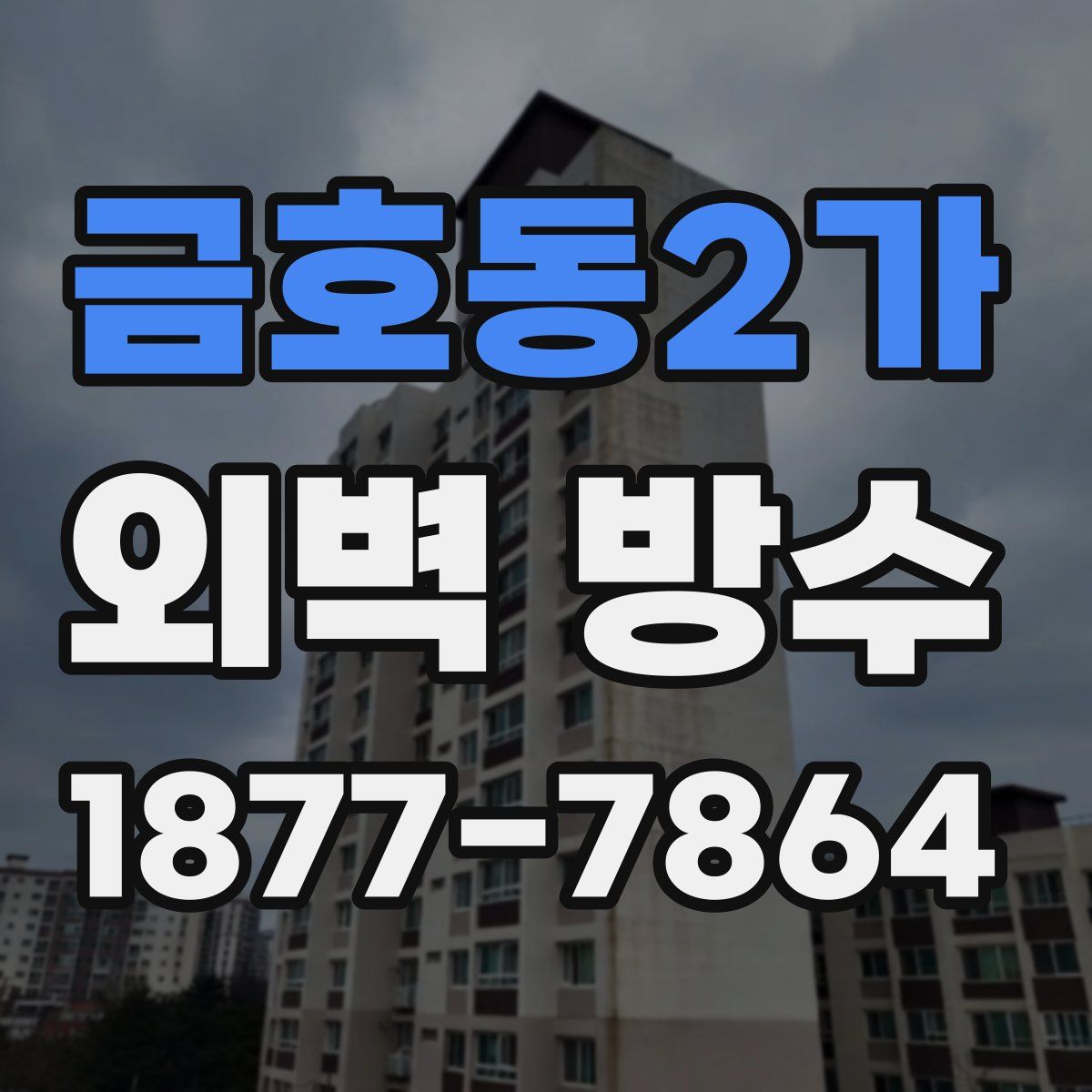금호동2가 외벽 방수