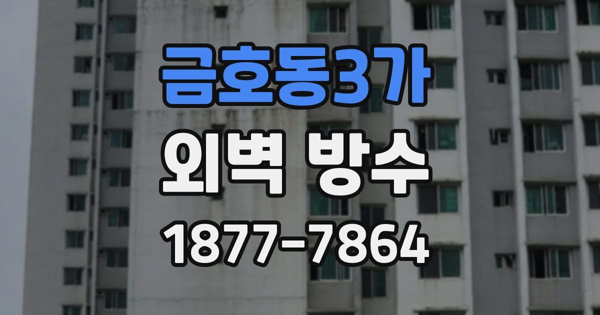 금호동3가 외벽 방수