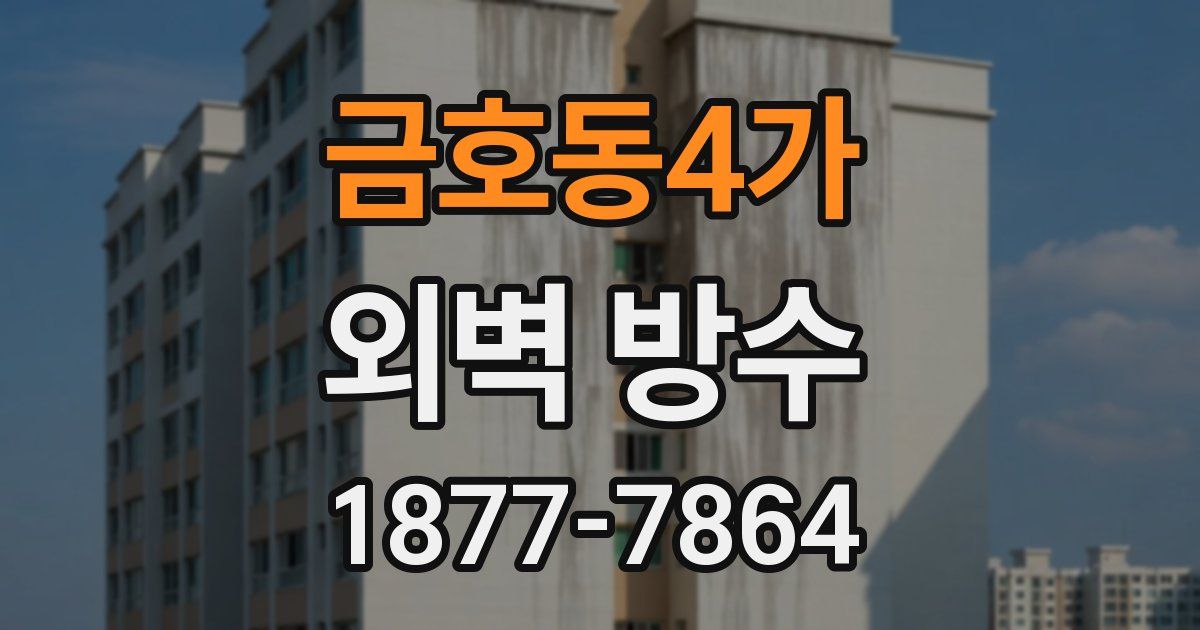 금호동4가 외벽 방수