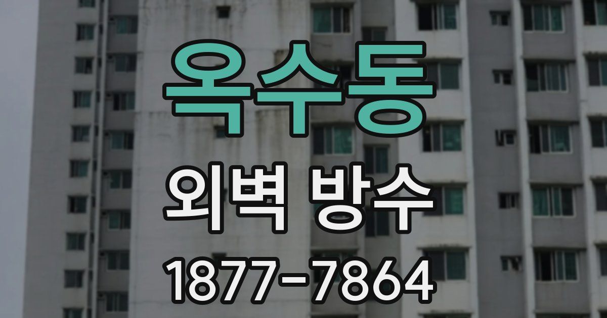 옥수동 외벽 방수