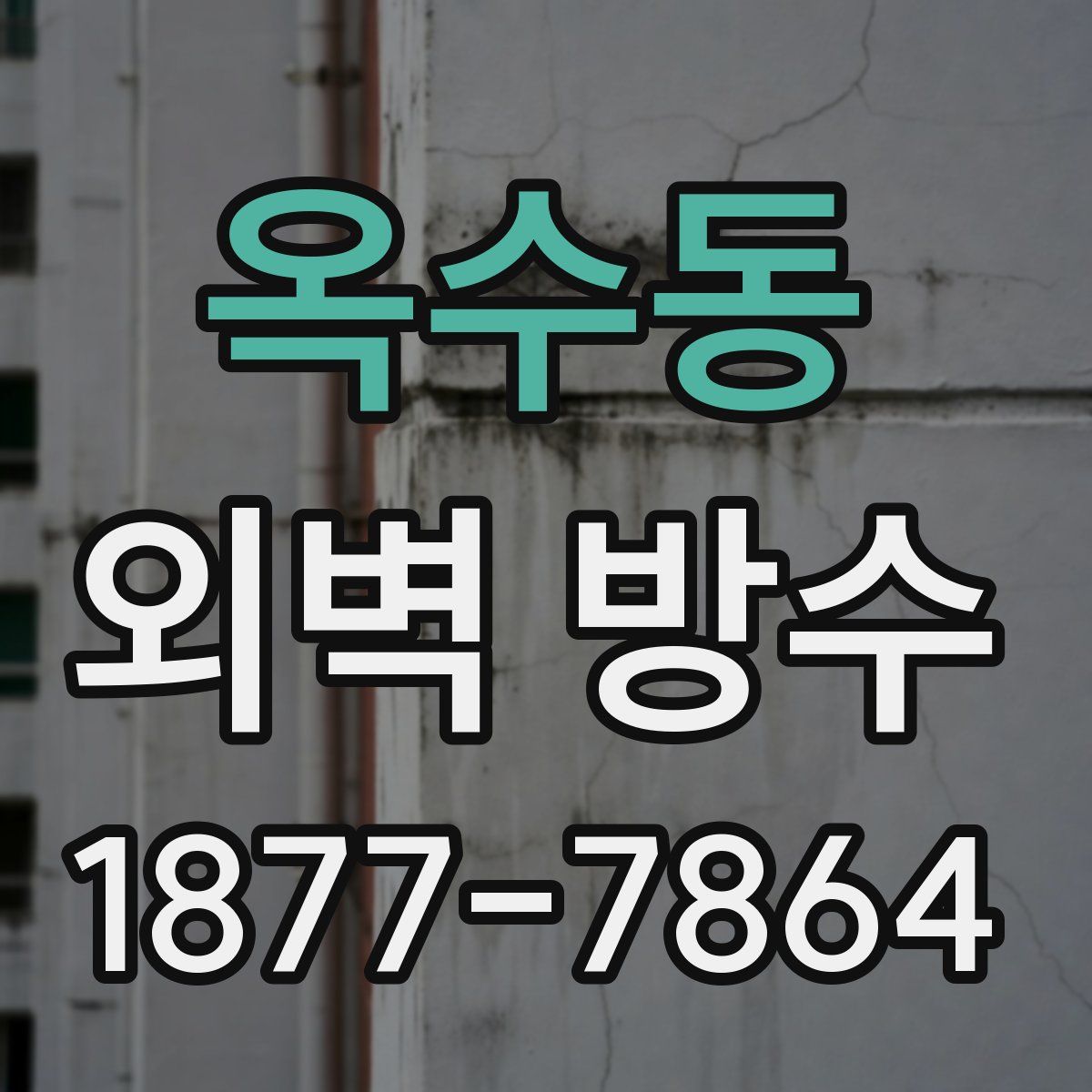 옥수동 외벽 방수