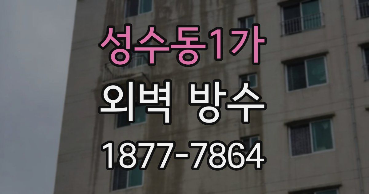 성수동1가 외벽 방수