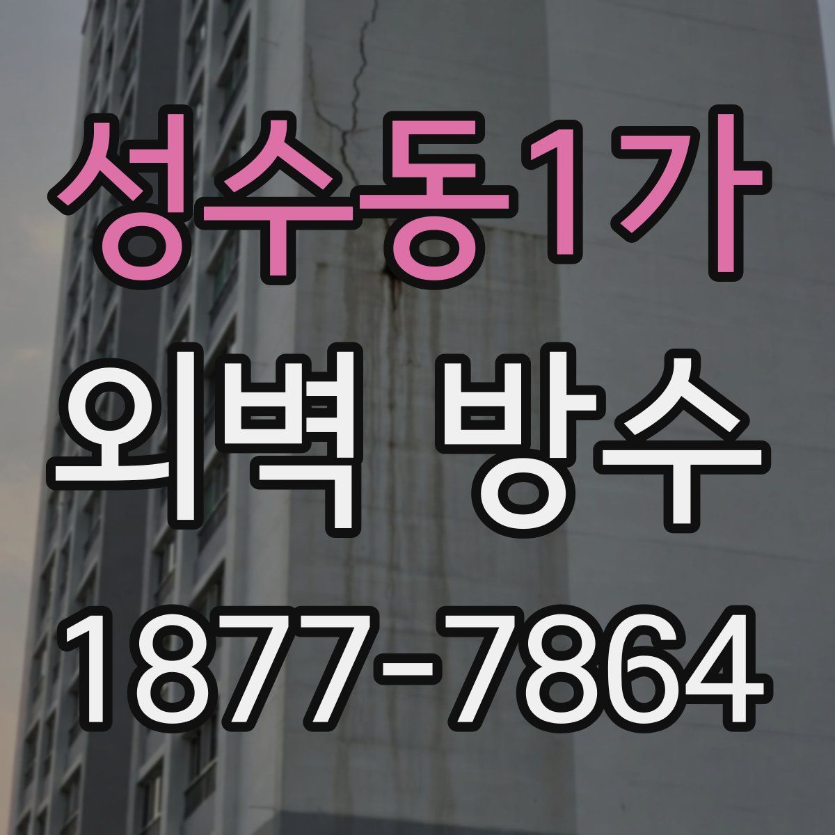 성수동1가 외벽 방수
