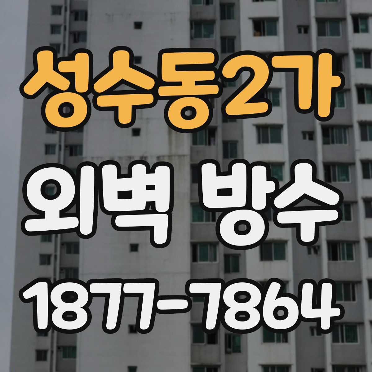 성수동2가 외벽 방수
