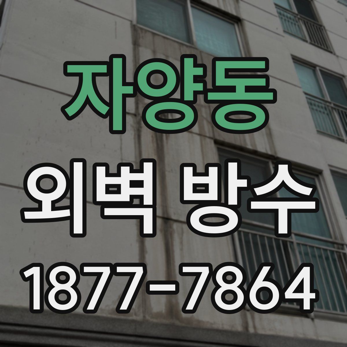 자양동 외벽 방수