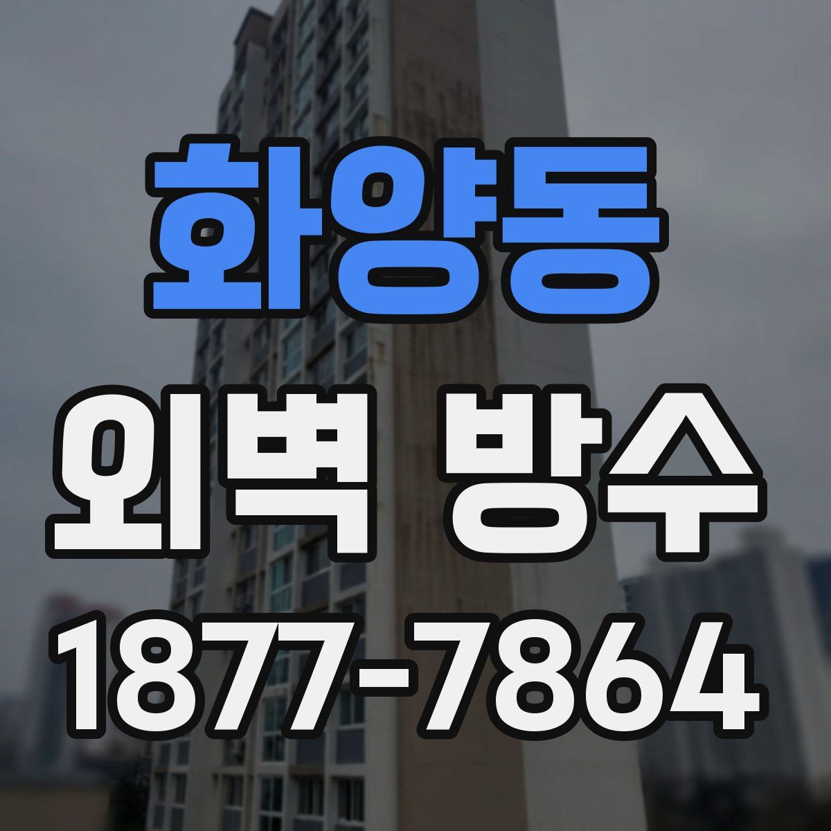 화양동 외벽 방수