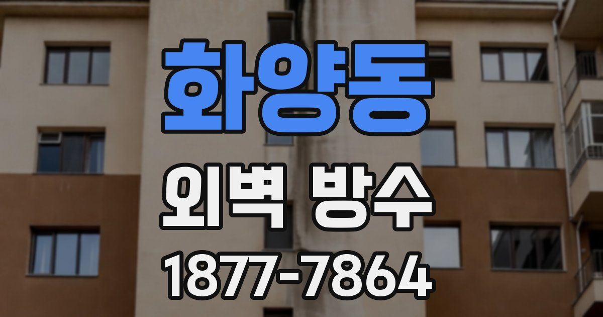 화양동 외벽 방수