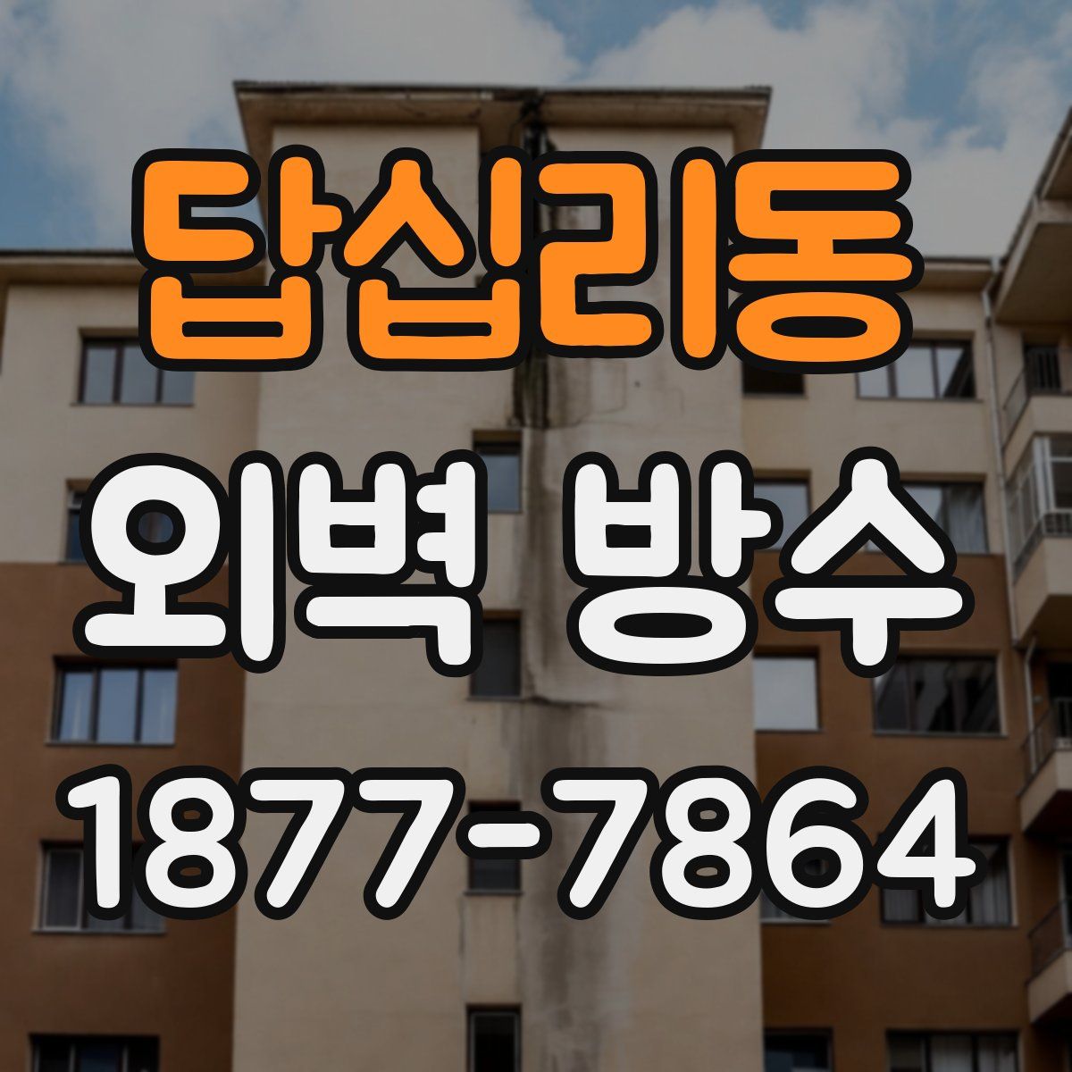 답십리동 외벽 방수