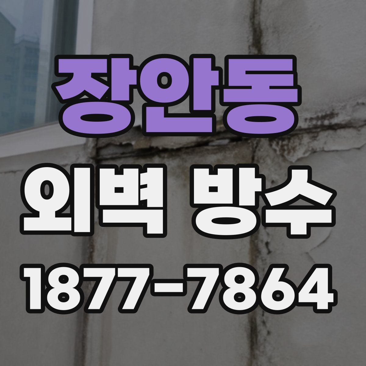 장안동 외벽 방수