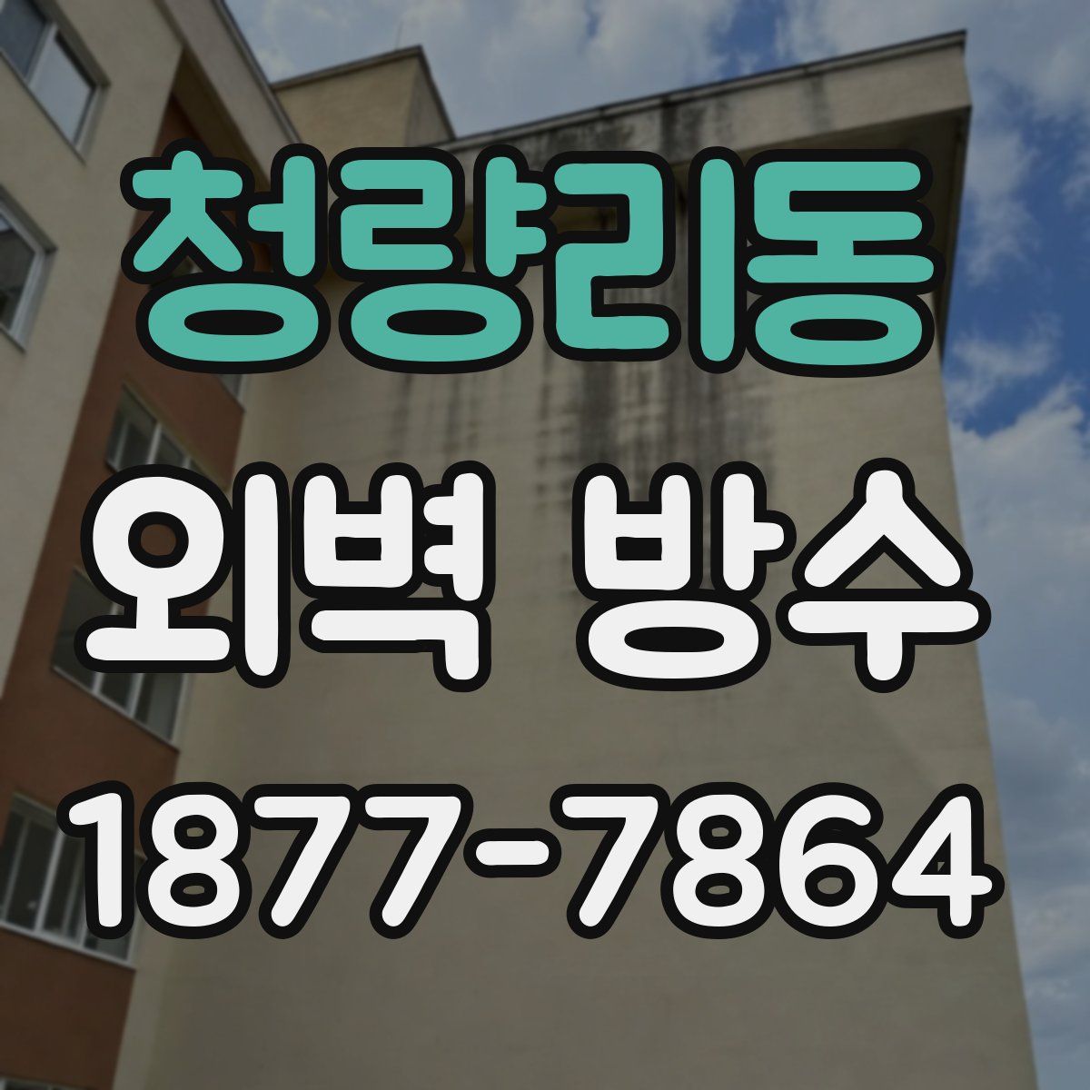 청량리동 외벽 방수