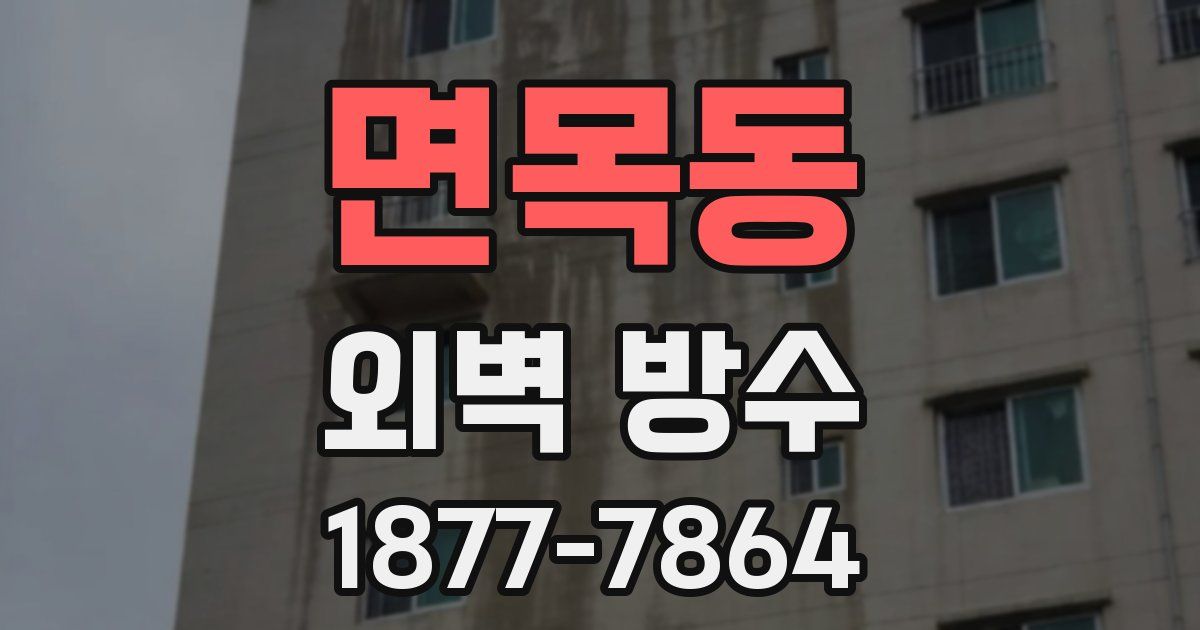 면목동 외벽 방수