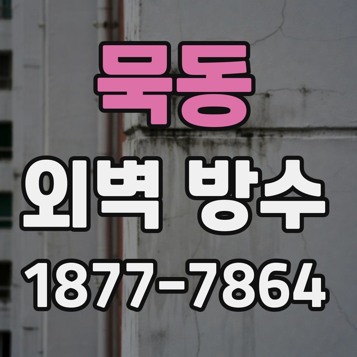 묵동 외벽 방수 비용을 좌우하는 조건들