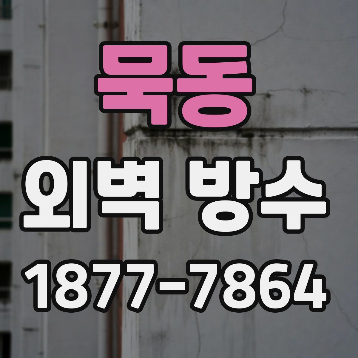 묵동 외벽 방수
