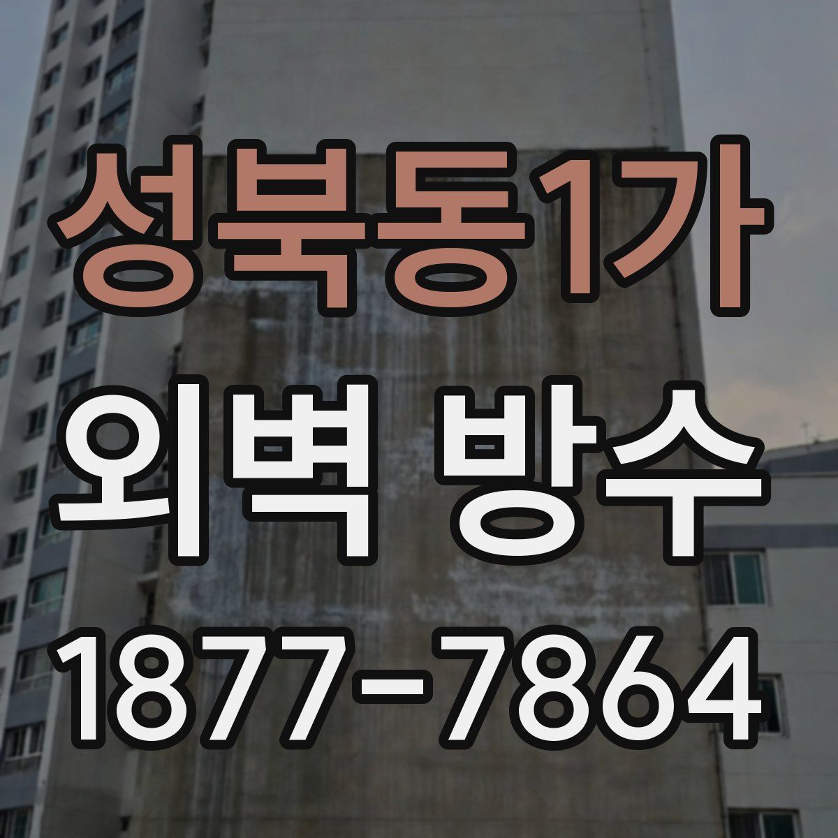 성북동1가 외벽 방수