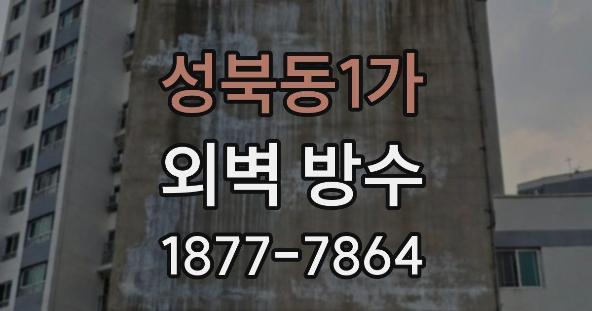 성북동1가 외벽 방수