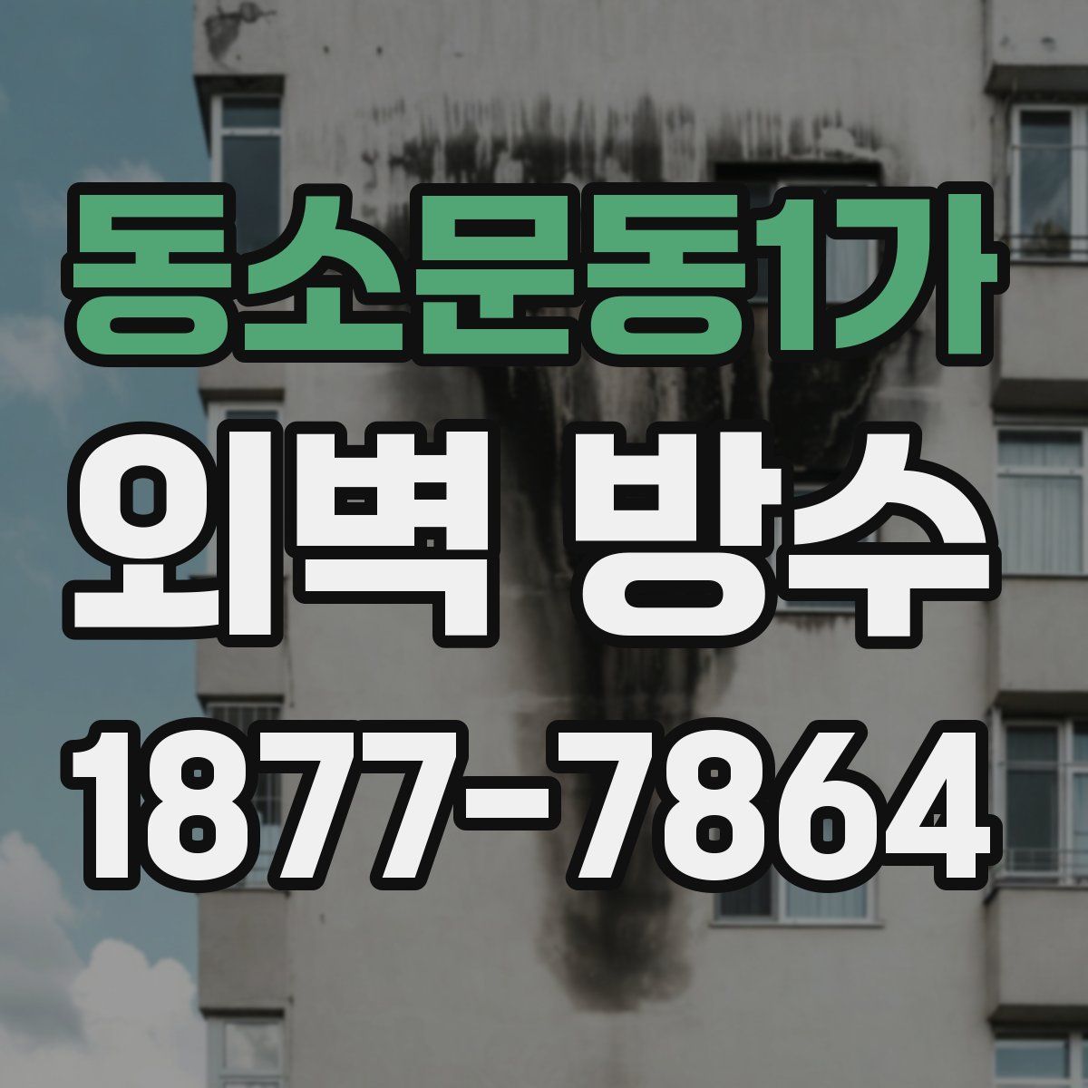 동소문동1가 외벽 방수
