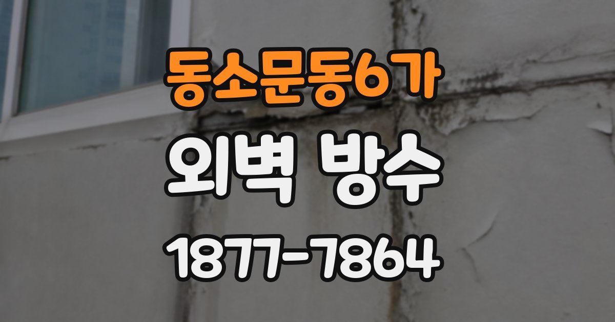 동소문동6가 외벽 방수