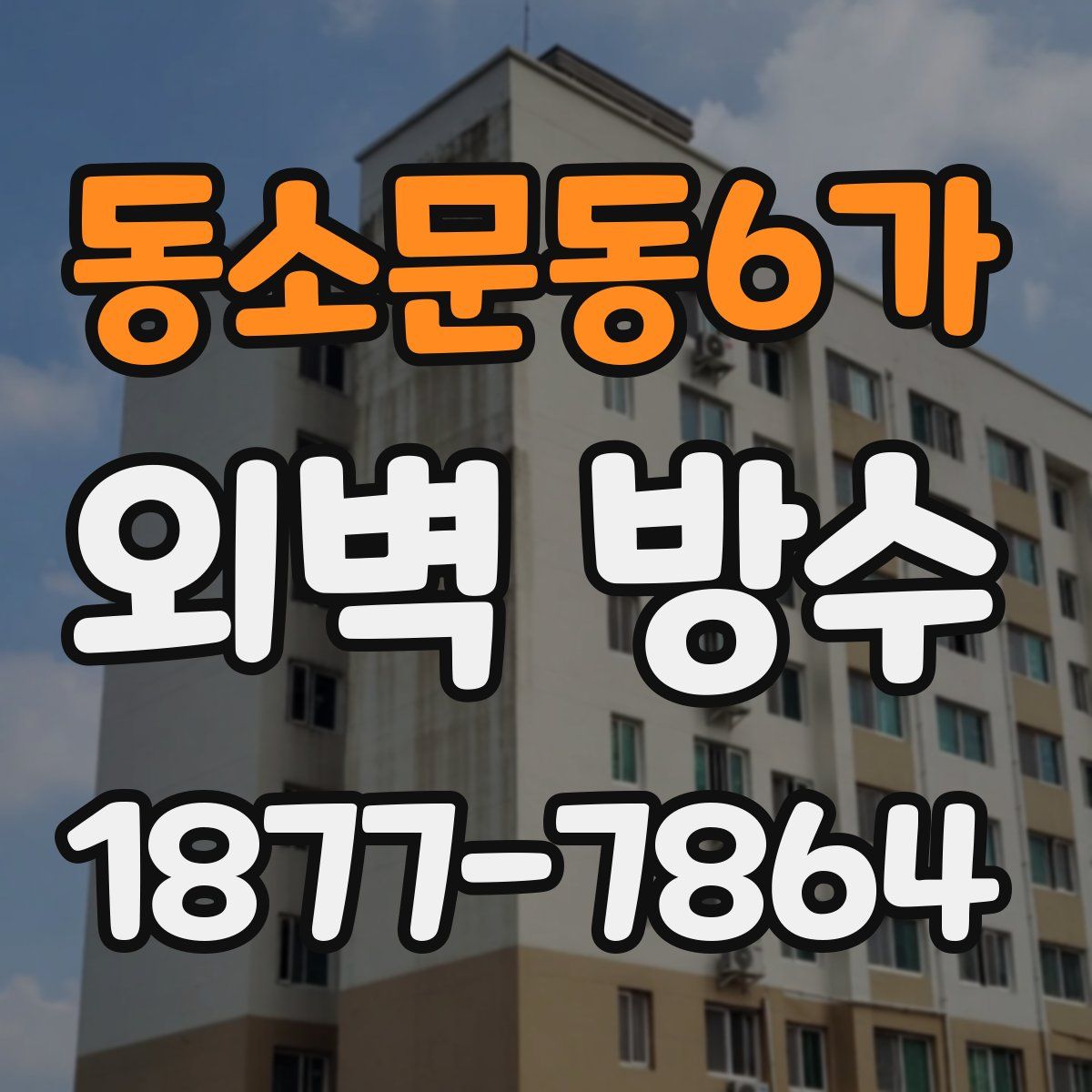 동소문동6가 외벽 방수