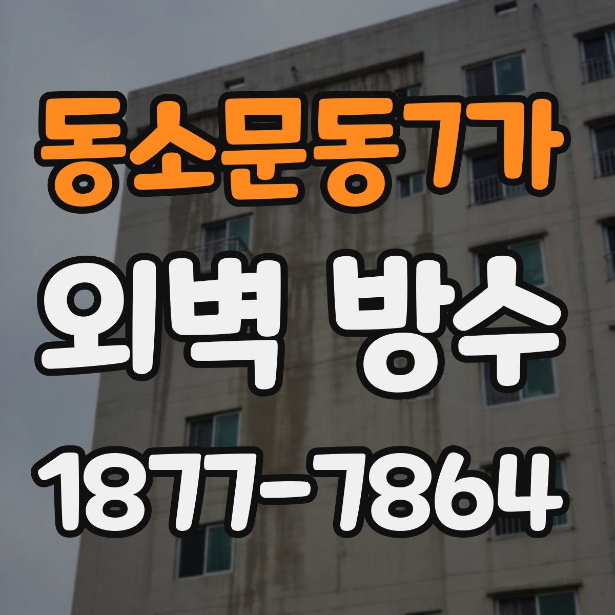 동소문동7가 외벽 방수