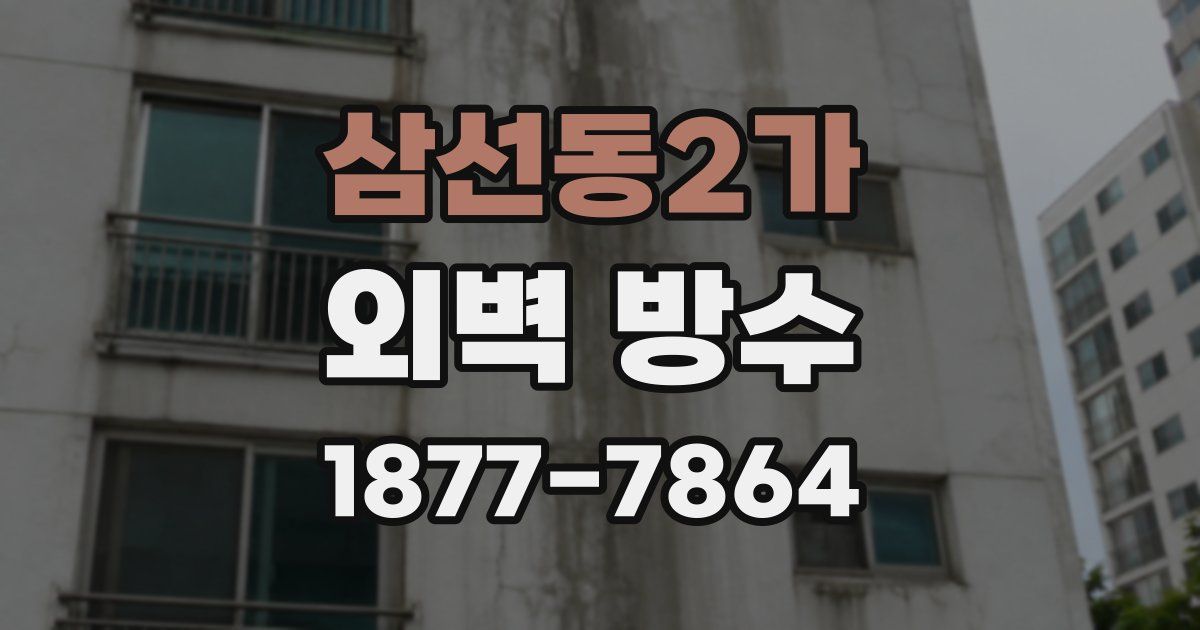 삼선동2가 외벽 방수