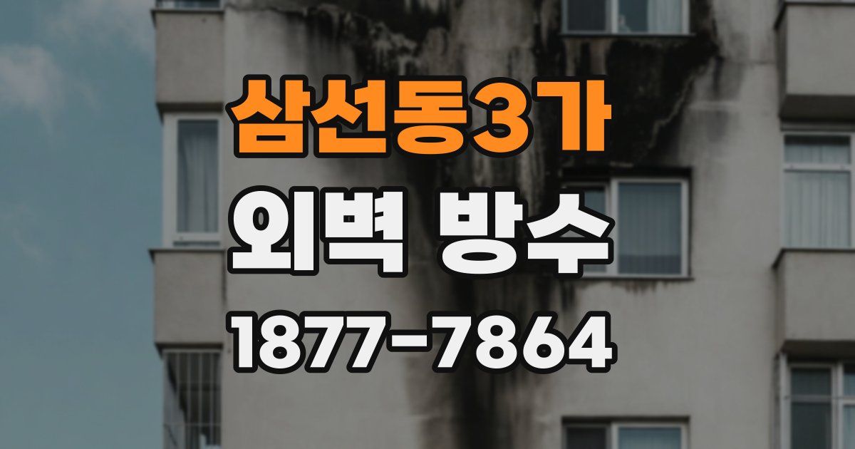 삼선동3가 외벽 방수
