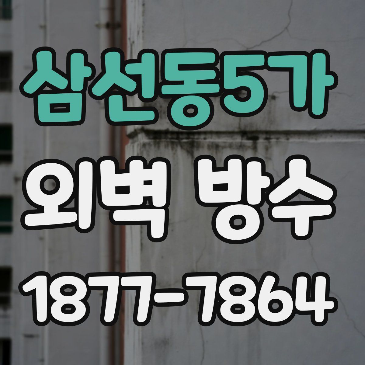 삼선동5가 외벽 방수