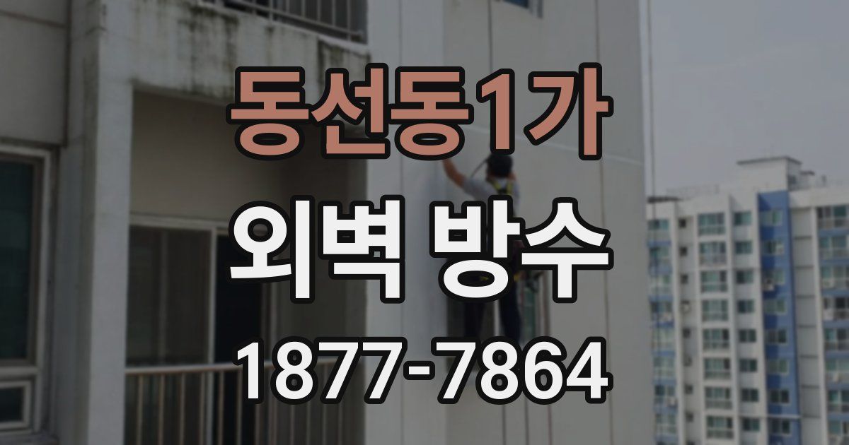 동선동1가 외벽 방수