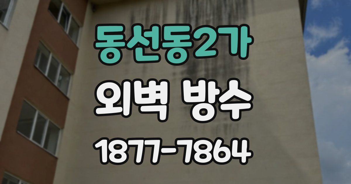 동선동2가 외벽 방수