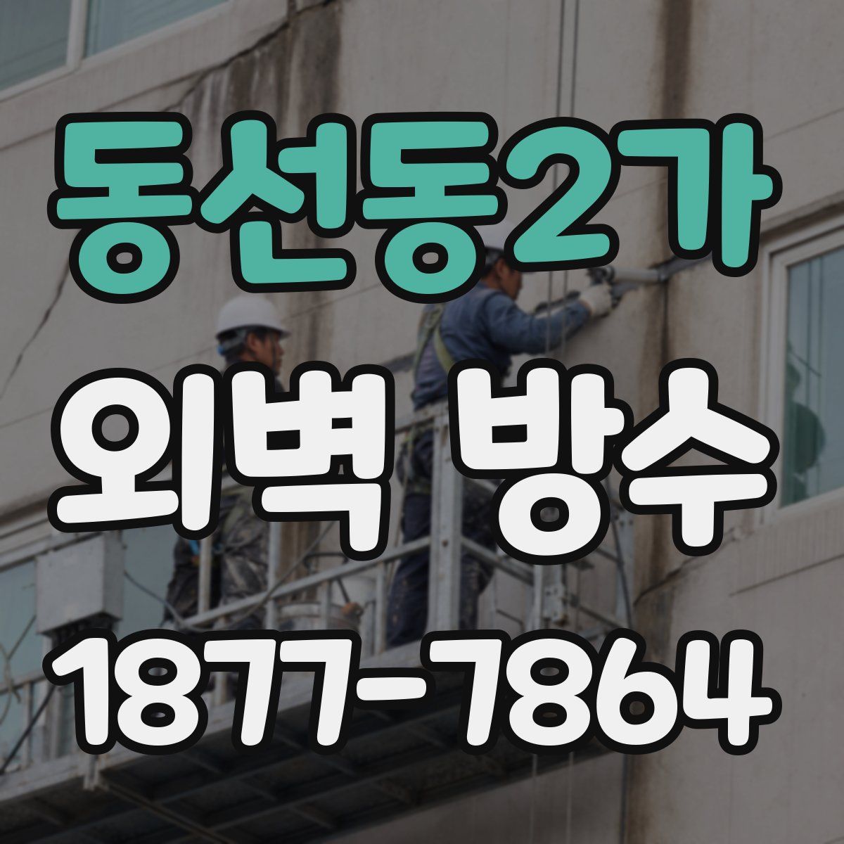 동선동2가 외벽 방수