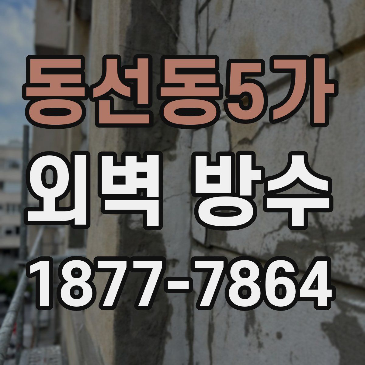 동선동5가 외벽 방수
