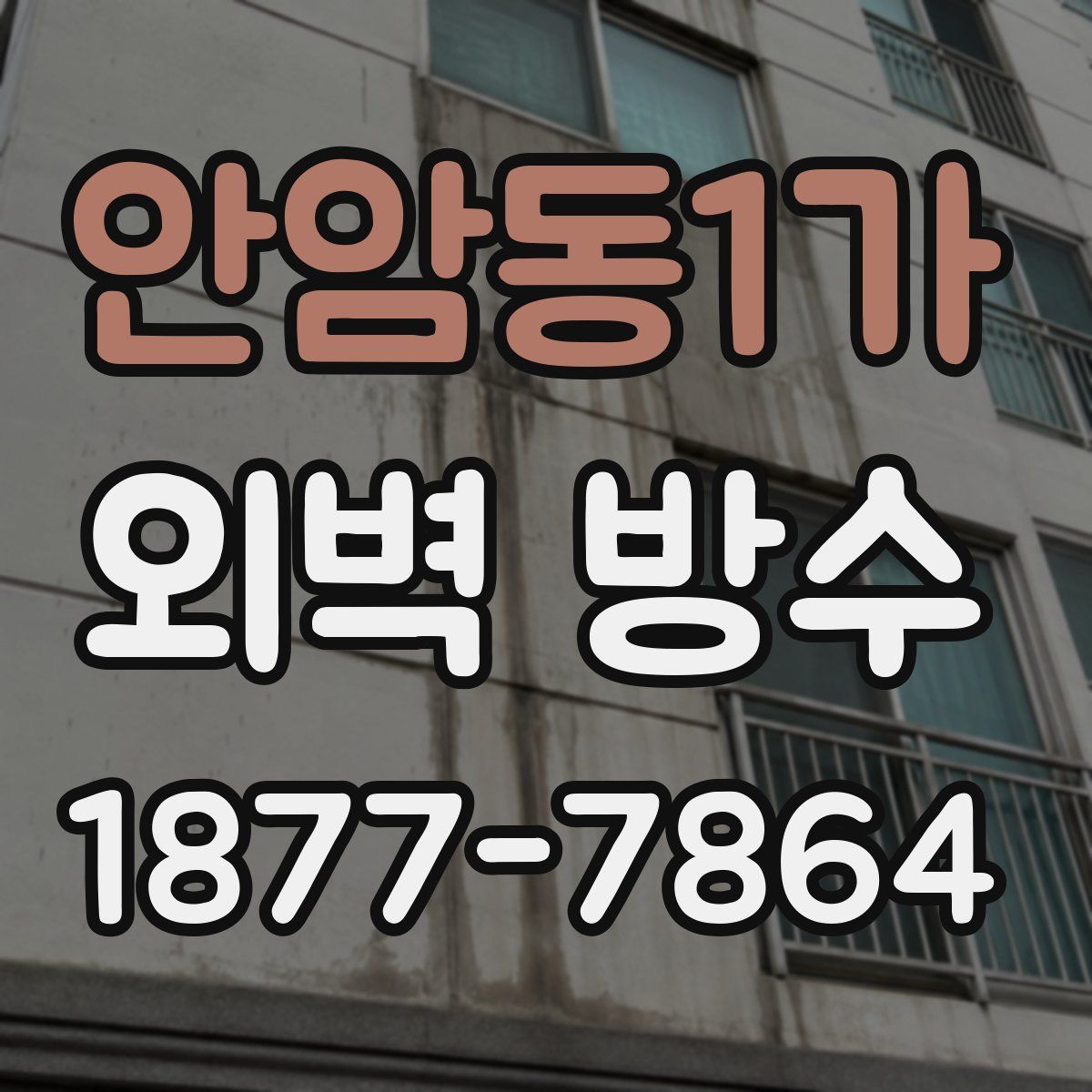 안암동1가 외벽 방수