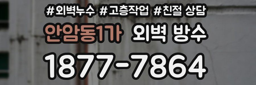 안암동1가 외벽 방수