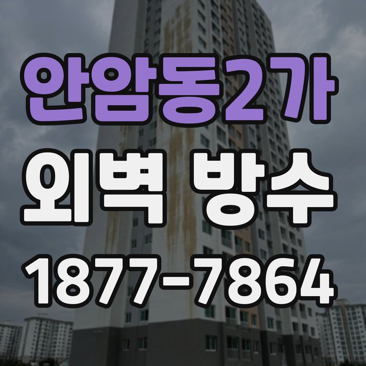 안암동2가 외벽 방수