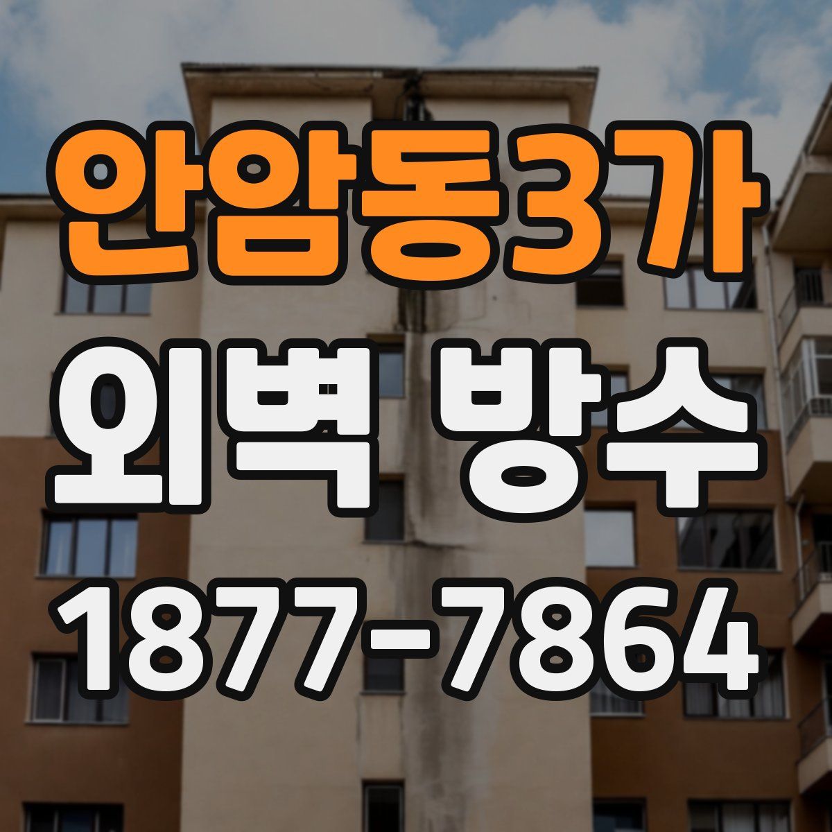 안암동3가 외벽 방수