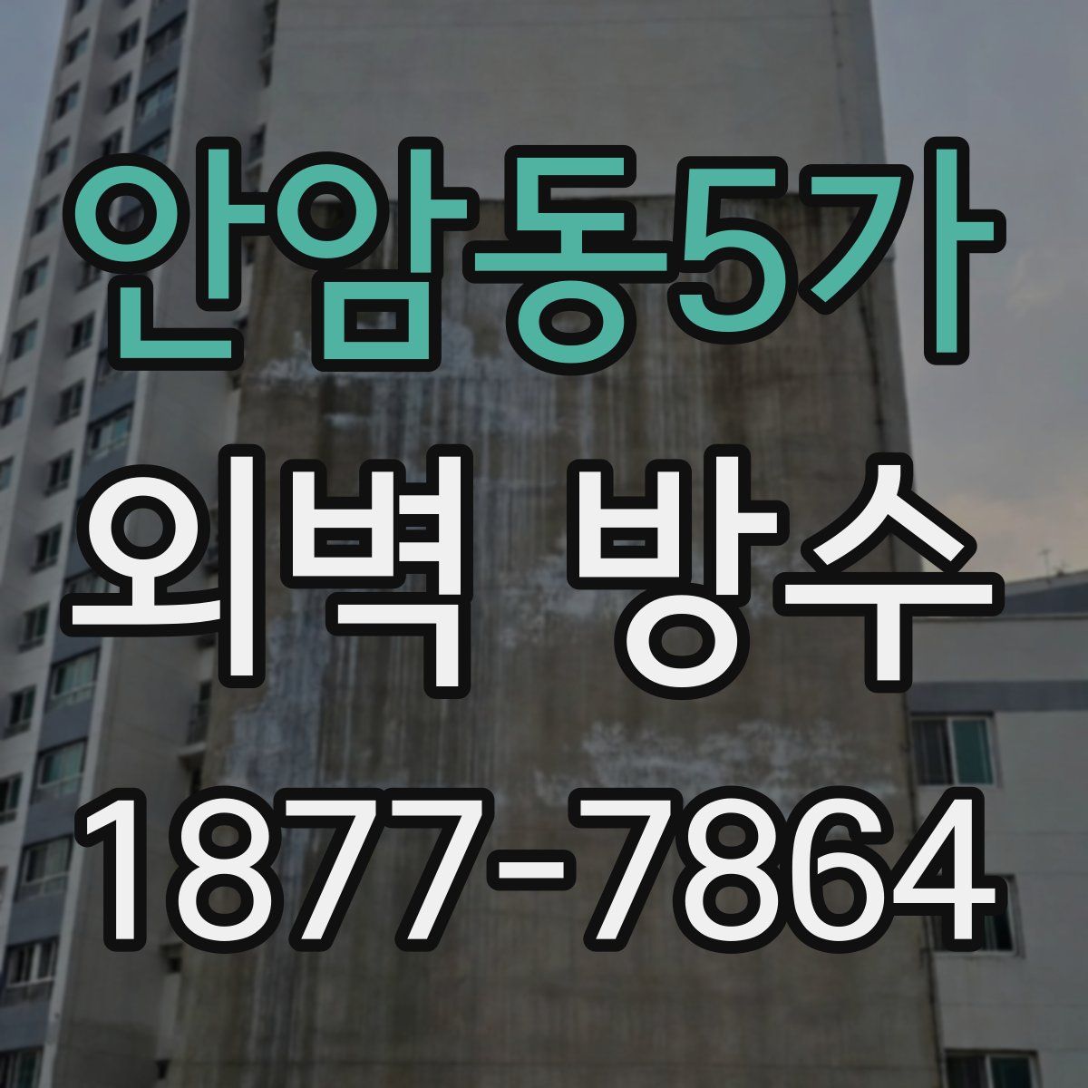 안암동5가 외벽 방수