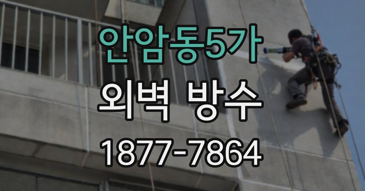 안암동5가 외벽 방수