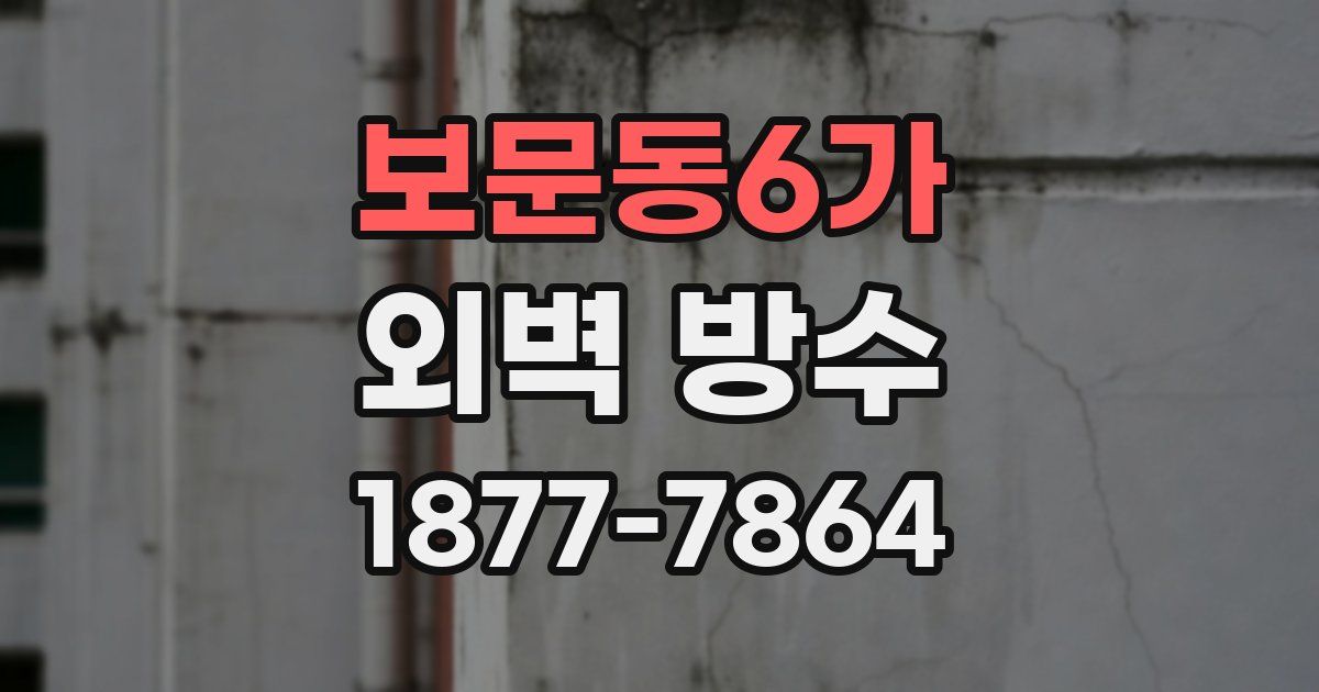 보문동6가 외벽 방수