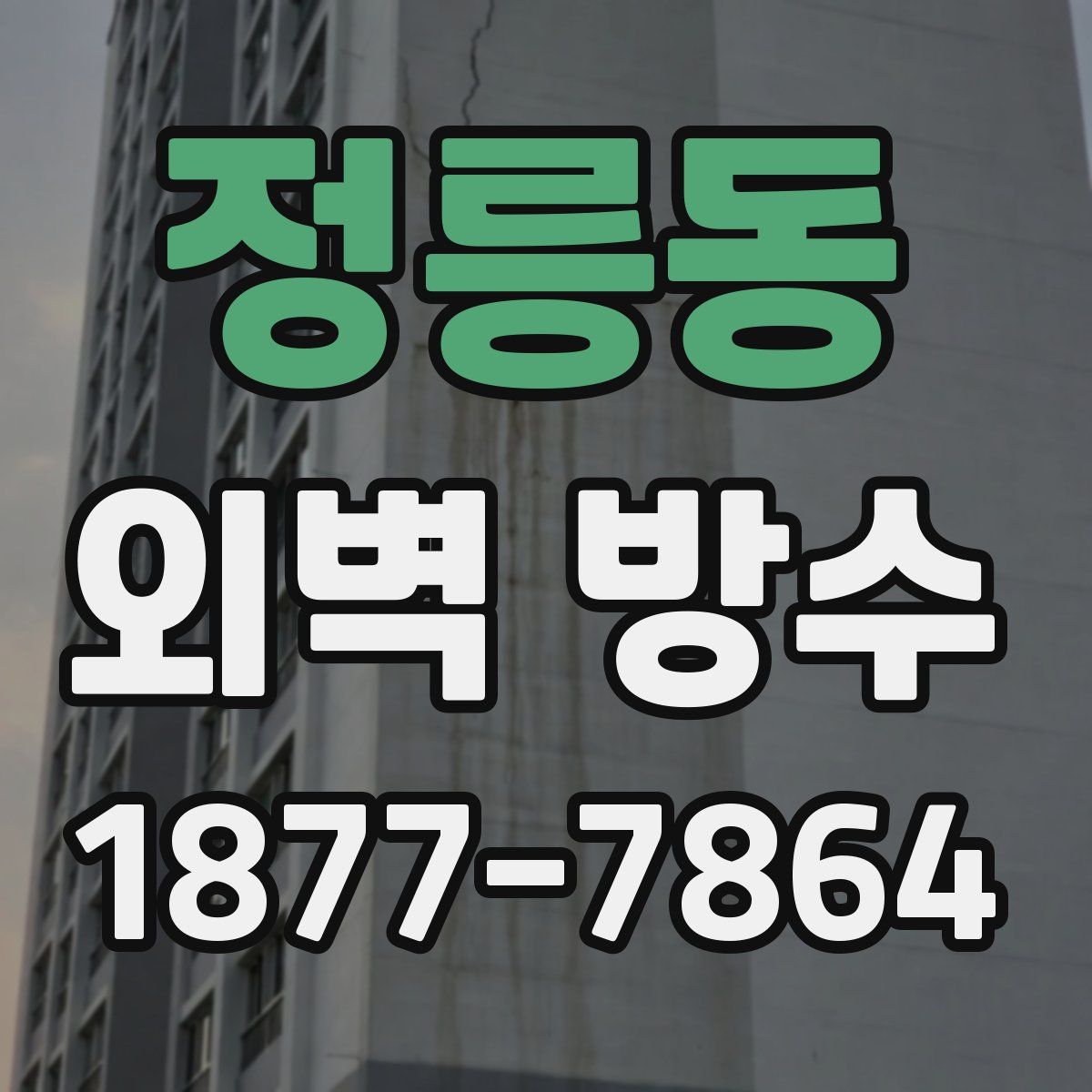 정릉동 외벽 방수