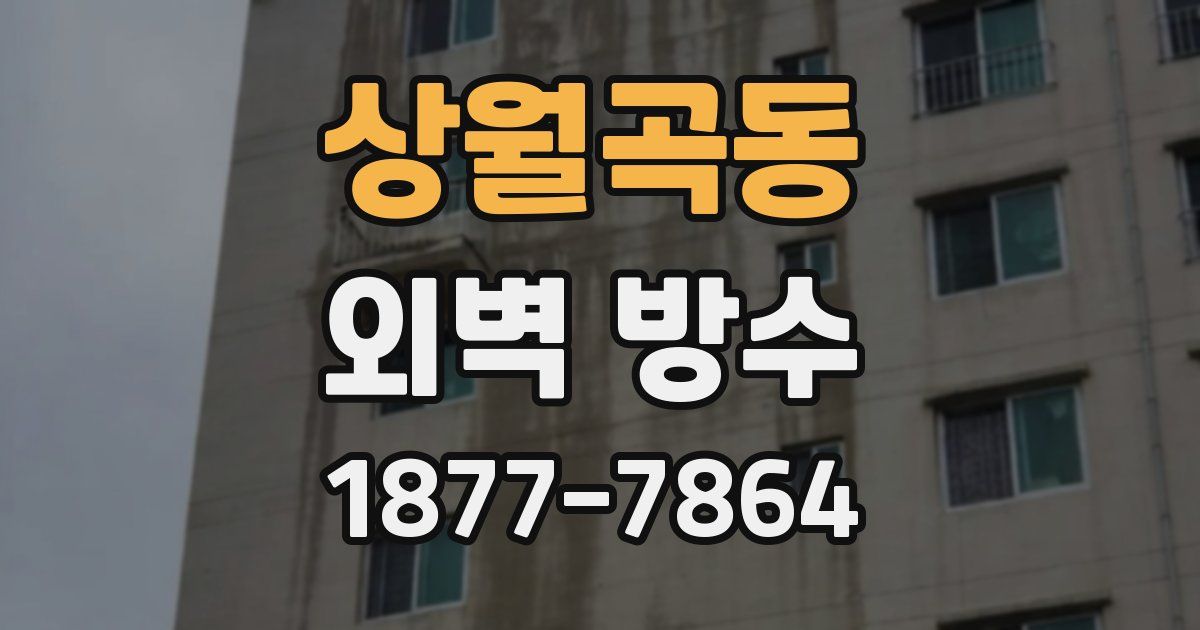 상월곡동 외벽 방수