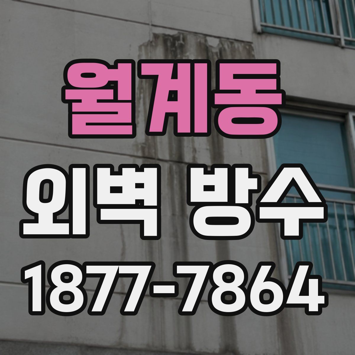 월계동 외벽 방수