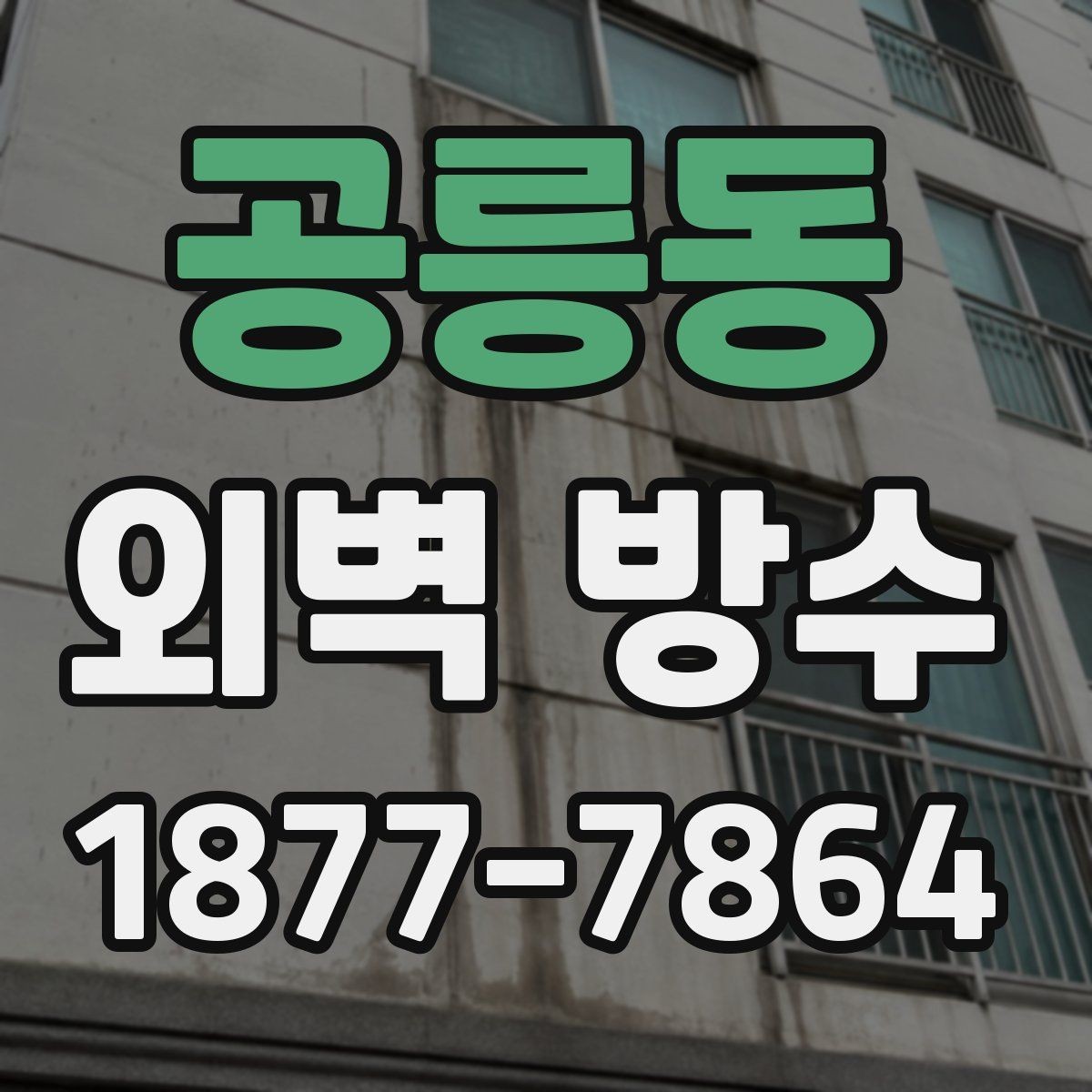 공릉동 외벽 방수 문제와 곰팡이 발생의 연관성
