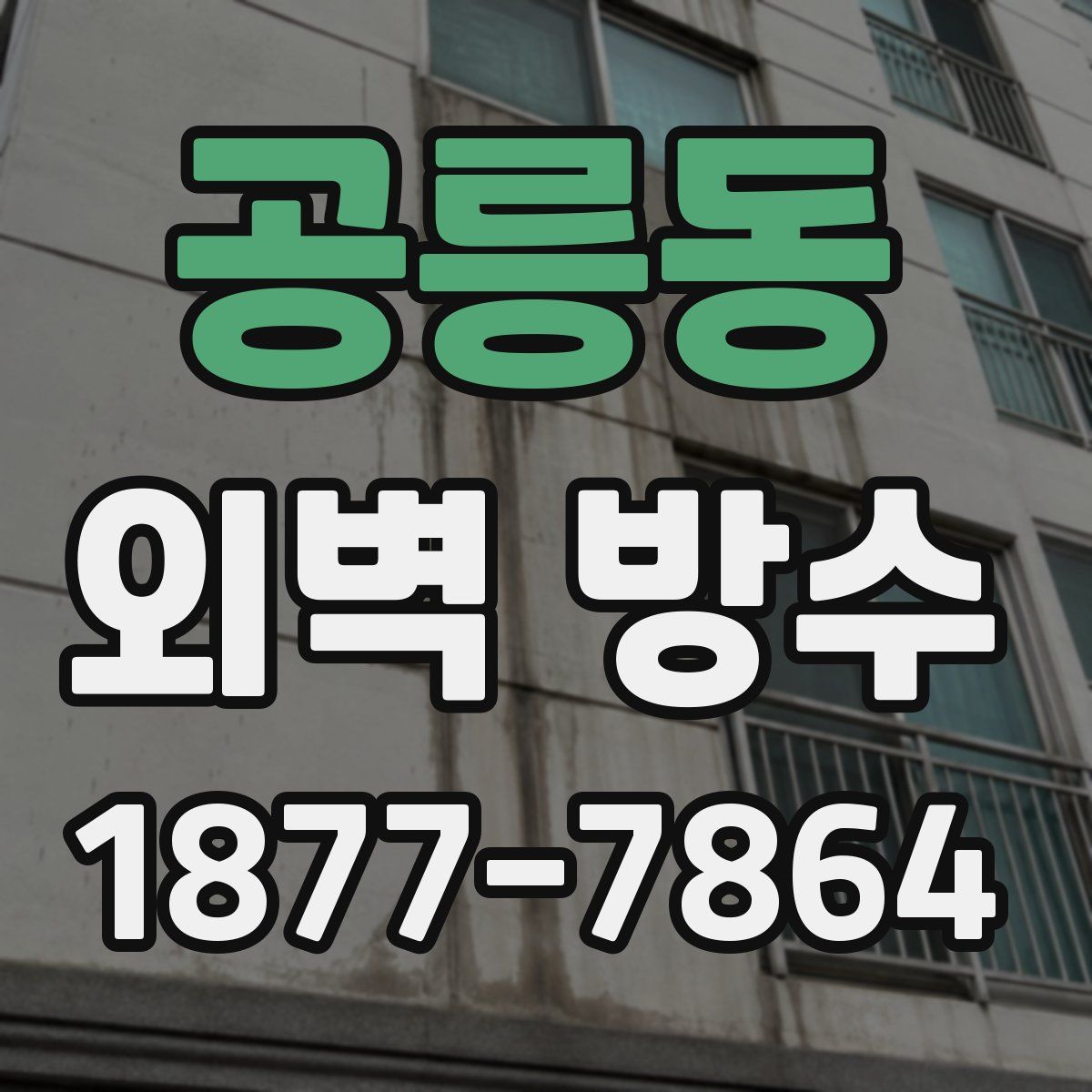 공릉동 외벽 방수