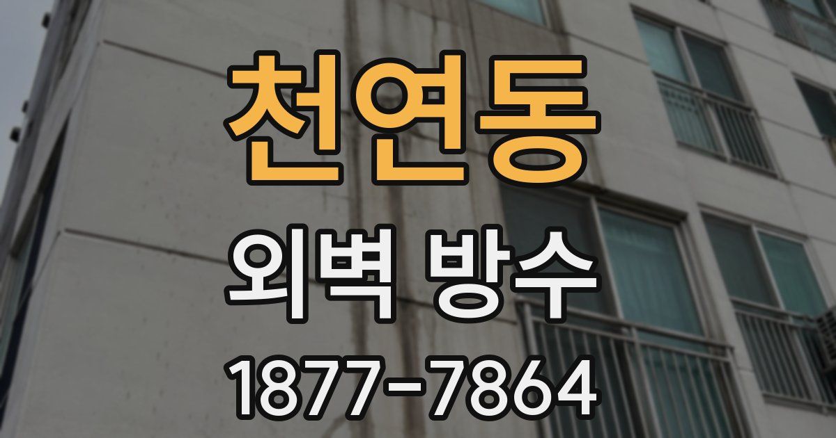 천연동 외벽 방수