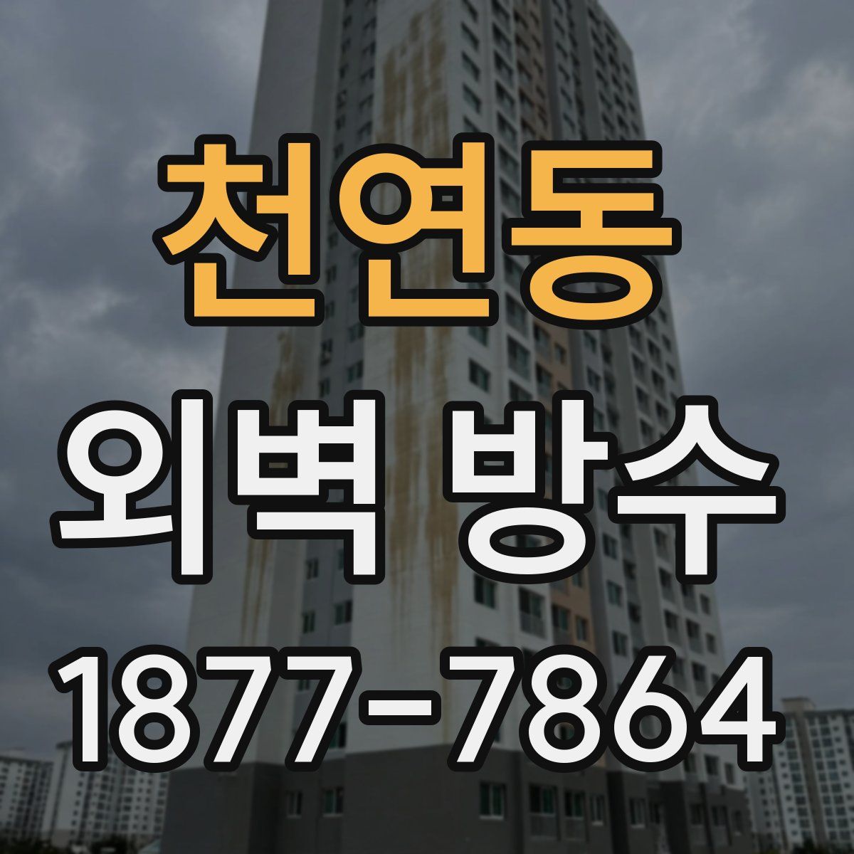 천연동 외벽 방수