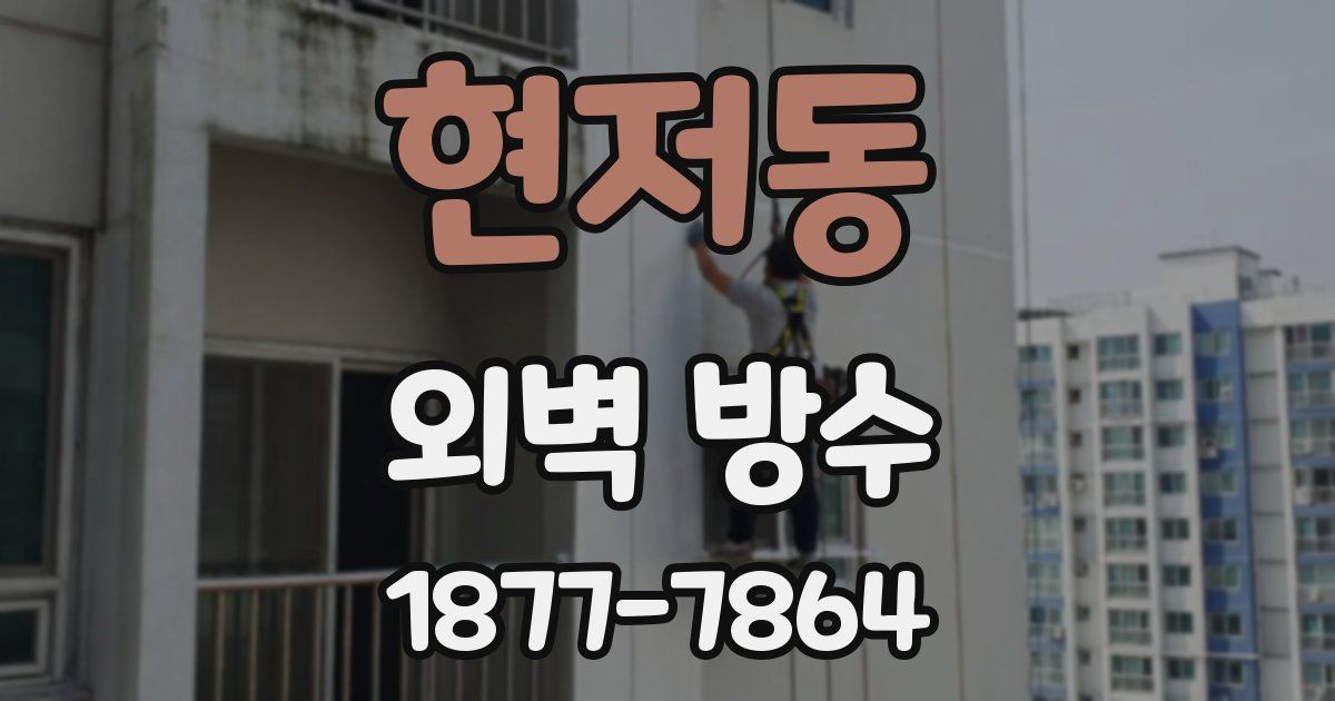 현저동 외벽 방수