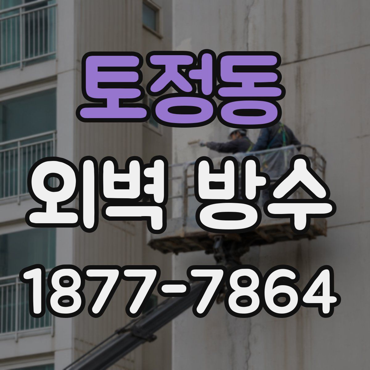 토정동 외벽 방수